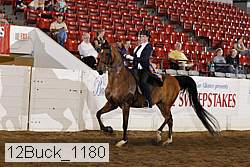12buck_1180 proof