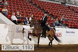 12buck_1182 proof