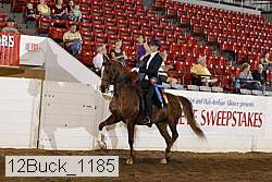 12buck_1185 proof