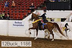 12buck_1186 proof