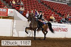 12buck_1187 proof