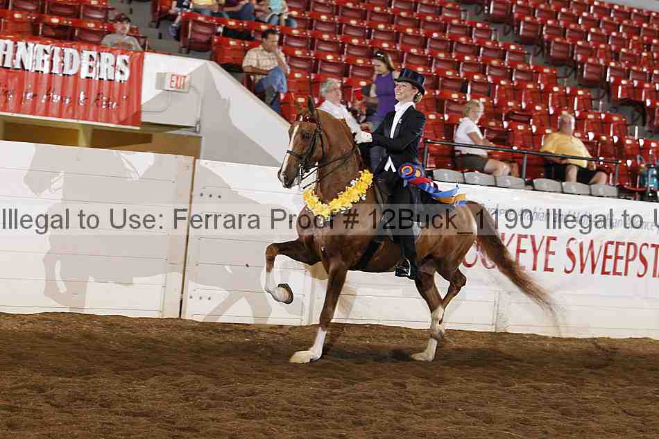 Proof 12buck_1190