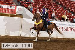 12buck_1190 proof