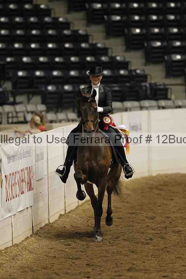 Proof 12buck_1195
