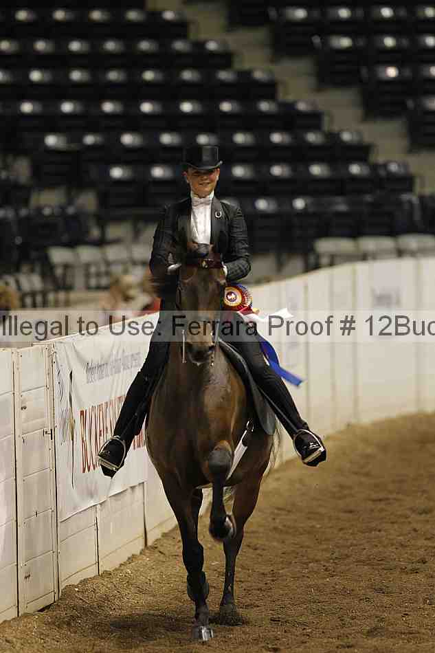 Proof 12buck_1196