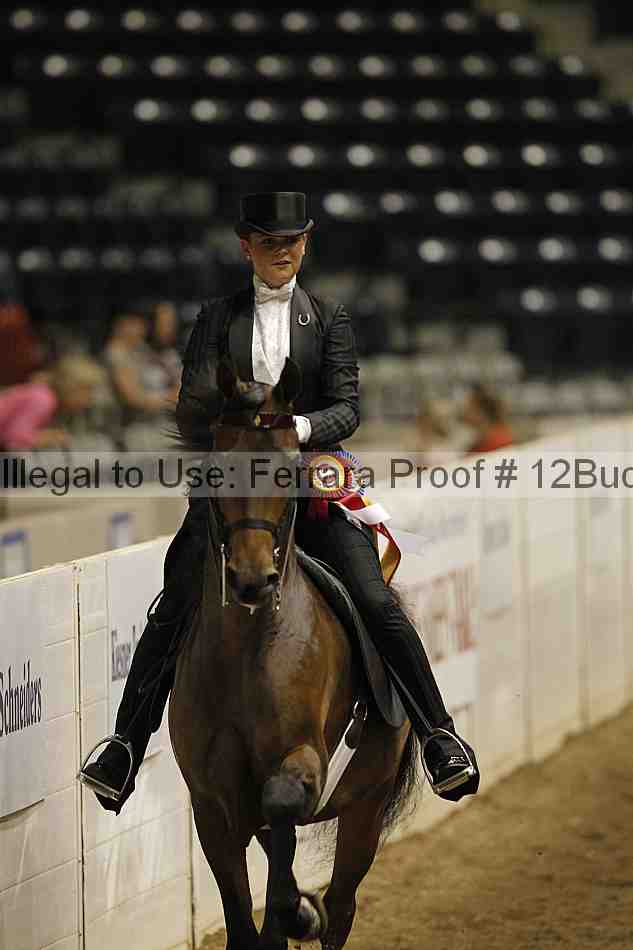 Proof 12buck_1197