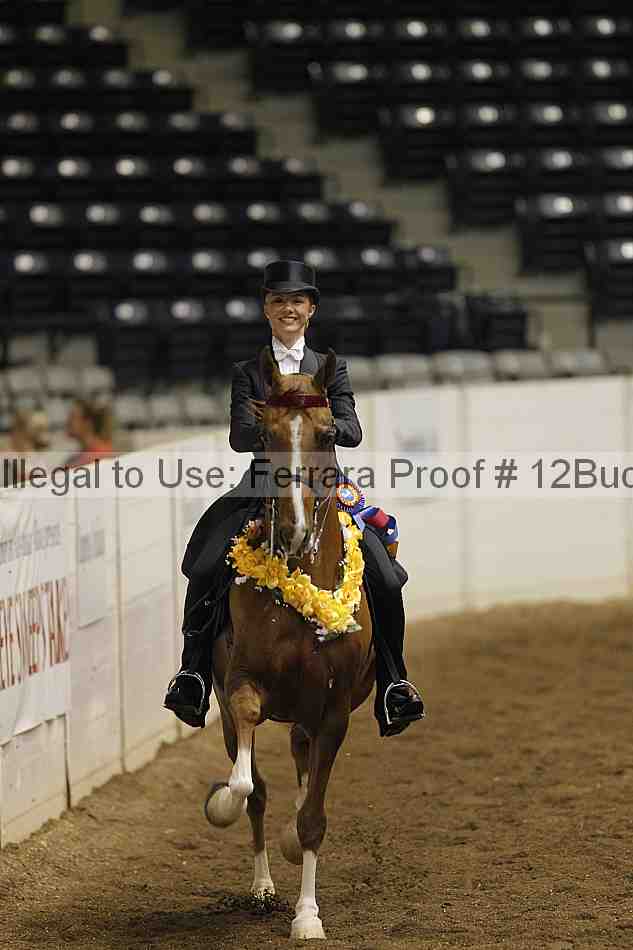 Proof 12buck_1199