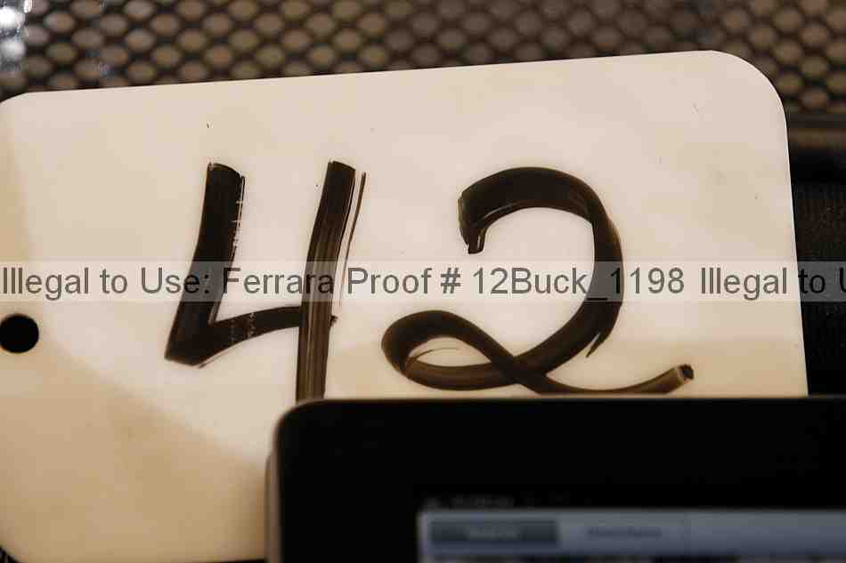 Proof 12buck_1198