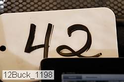 12buck_1198 proof