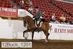 12buck_1201 proof