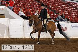 12buck_1203 proof