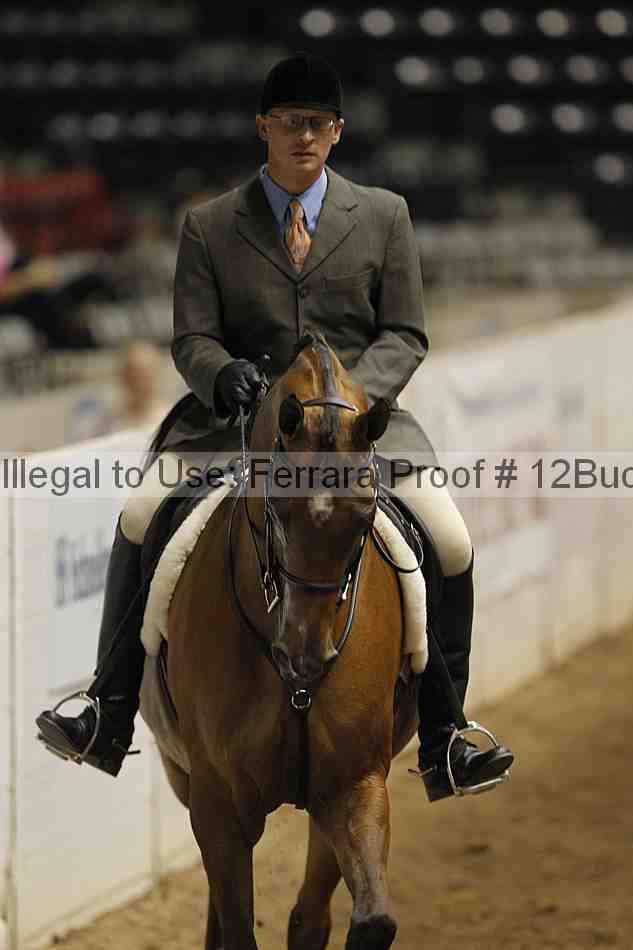 Proof 12buck_1206