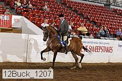 12buck_1207 proof