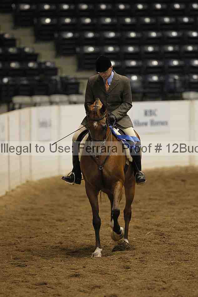 Proof 12buck_1209