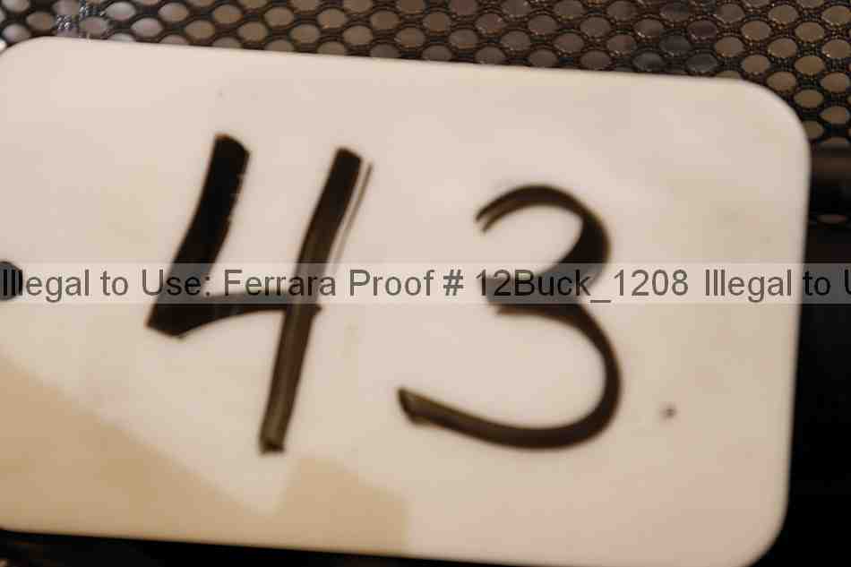 Proof 12buck_1208