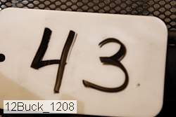 12buck_1208 proof