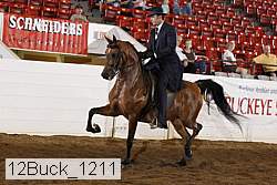 12buck_1211 proof