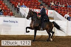 12buck_1212 proof