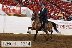 12buck_1214 proof
