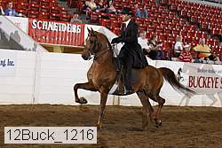 12buck_1216 proof