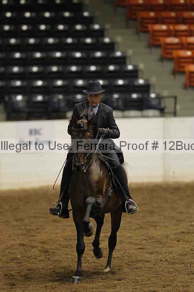 Proof 12buck_1217