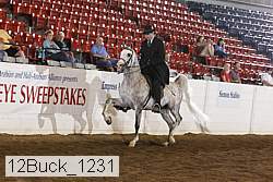 12buck_1231 proof