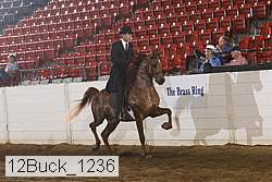 12buck_1236 proof