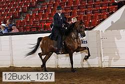 12buck_1237 proof