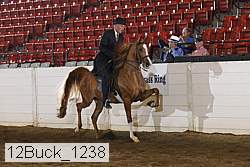 12buck_1238 proof