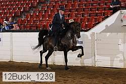 12buck_1239 proof