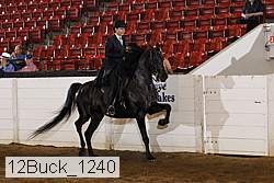 12buck_1240 proof