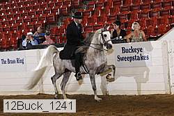 12buck_1241 proof