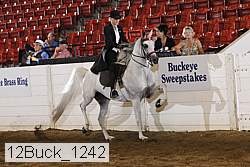 12buck_1242 proof