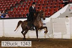 12buck_1243 proof