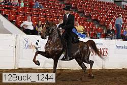12buck_1244 proof