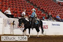 12buck_1264 proof