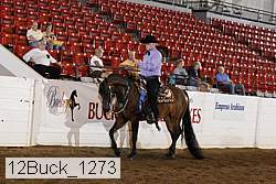 12buck_1273 proof