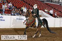 12buck_1275 proof