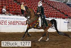 12buck_1277 proof