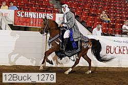 12buck_1279 proof