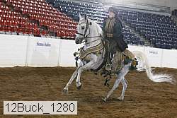 12buck_1280 proof