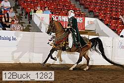 12buck_1282 proof