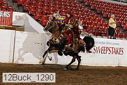 12buck_1290 proof