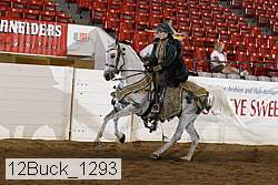 12buck_1293 proof
