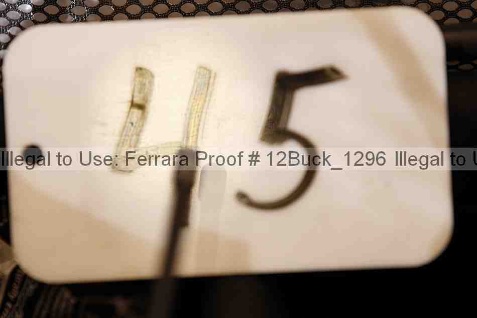 Proof 12buck_1296