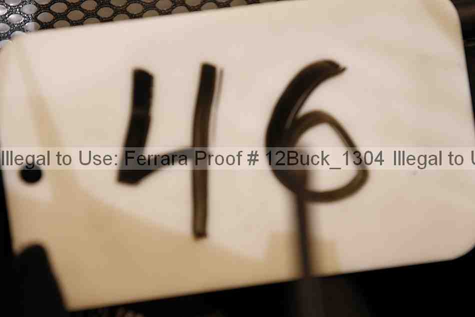 Proof 12buck_1304
