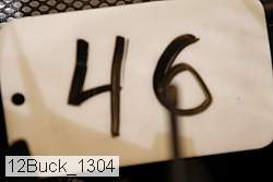 12buck_1304 proof