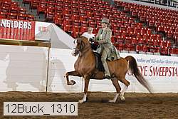 12buck_1310 proof