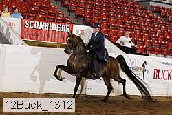 12buck_1312 proof