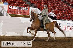 12buck_1314 proof